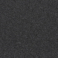 Ковровая плитка Interface Biosfera Boucle 7185 Nero Ebano фото 1 | FLOORDEALER